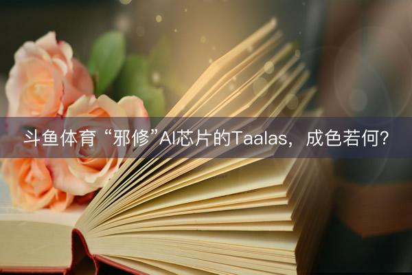 斗鱼体育 “邪修”AI芯片的Taalas，成色若何？